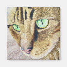 Katzen-Porträt Magnete