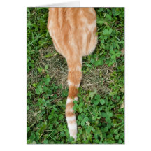 Katzen-Schwanz im Gras Karte