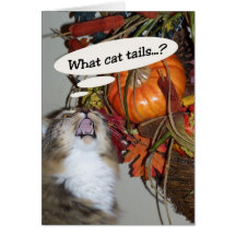 Katzen-Schwänze Karte