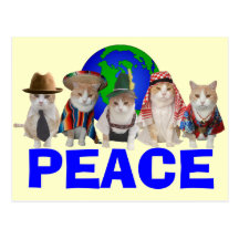 Katzenartiges diplomatisches Korps Postkarte