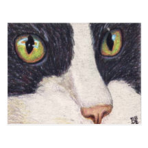 Katzenaugen Postkarte