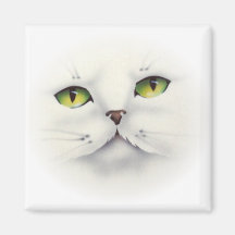 Katzengesicht Magnete