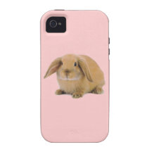 Kawaii niedliches Häschen-Kaninchen iPhone 4 Hüllen