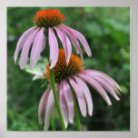 Kegel-Blumen-Druck auf Leinwand Plakatdruck