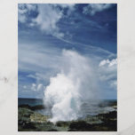 Keimungs-Horn - Kauai Flyerbedruckung