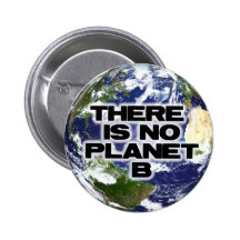 Kein Planet B Button