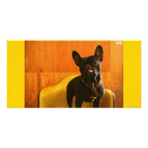 Kenken　Photo　cards　C フォトカードテンプレート