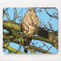 Kestrel Mousemat Mauspads