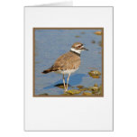 "Killdeer war hier " Karte