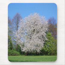 Kirschbaum Mousepad