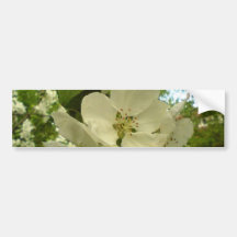 Kirschblüten Auto Aufkleber
