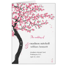 Kirschblüten, die Programm-Karte Wedding sind