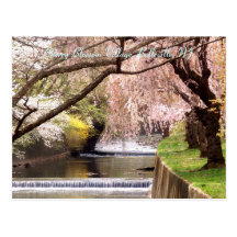 Kirschblüten-Dorf 04 Postkarte