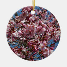 Kirschblüten und blauer Himmel-Verzierung Ornament