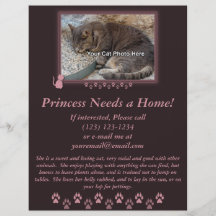 Kitty-Rahmen-Foto-Flyer