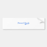 Klassischer Entwurf Durand Strand-New York Auto Sticker