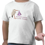 Klassischer Storch (Rosa) (Babyparty) Shirts