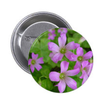 Klee-Blüte Buttons