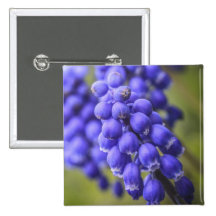 Kleine blaue Knospen Anstecknadel
