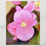 Kleine helle rosa und gelbe Blumen Flyer