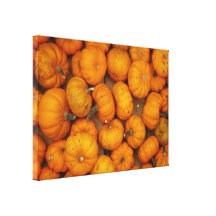 Kleine Kürbise Galerie Gefaltete Leinwand