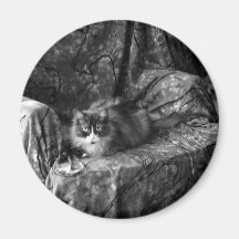 Kleine Prinzessin 2 Magnete
