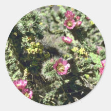 Kleine rosa Blumen auf Kaktus-Pflanzen-Blumen Runder Sticker