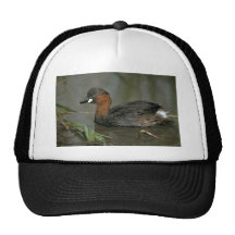 Kleiner Grebe Baseball Cap