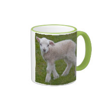 Kleiner Lamm-Becher Kaffee Tassen