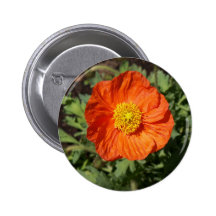 Kleiner orange Mohnblumen-Knopf Button