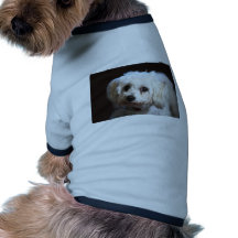 Kleiner süßer Hund Hund Tshirts
