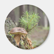 Kleiner wilder Pilz Kühlschrankmagnet