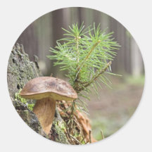 Kleiner wilder Pilz Runder Aufkleber