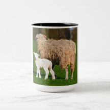 KLEINES LAMM KAFFEETASSEN