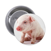 Kleines Schwein Buttons
