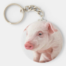 Kleines Schwein Schlüsselband