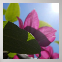 Klettern zum Himmel Plakatdrucke