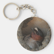 Klippen-Schwalbe Keychain Schlüsselanhänger