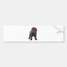 Klumpiger Schokoladen-Labrador-Welpe Autosticker