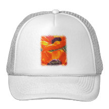 Knallende Mohnblumen-Baseball-Mütze
