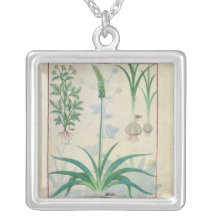 Knoblauch und andere Pflanzen Amulett