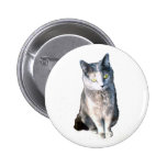 Knopf der Katzen-11 buttons