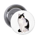 Knopf der Katzen-12 buttons