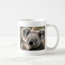 Koala-Bärn-Kaffeetasse