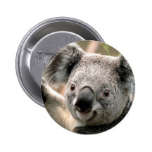 Koala-Bärn-Knöpfe Button