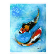 Koi Fische Individuelle Ankündigung