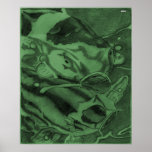 Koi (Grün) Posterdrucke