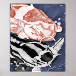 Koi (Rot und Schwarzes) Posterdrucke