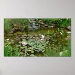 Koi Teich-gerahmter Druck Plakatdruck