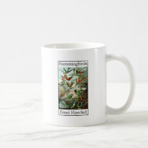 Kolibris durch Ernst Haeckel Kaffeetassen